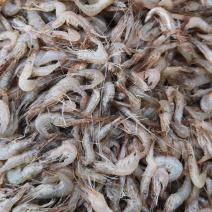 新鲜冰鲜河虾，3到5公分