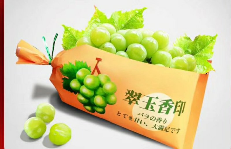 水果、葡萄包装(葡萄筐，托盘，无纺布袋，葡萄包装袋，纸箱