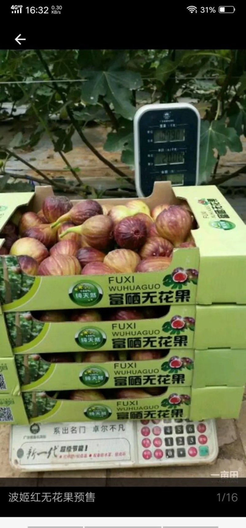 果品包装盒，水果包装盒。彩带。各种水果包装