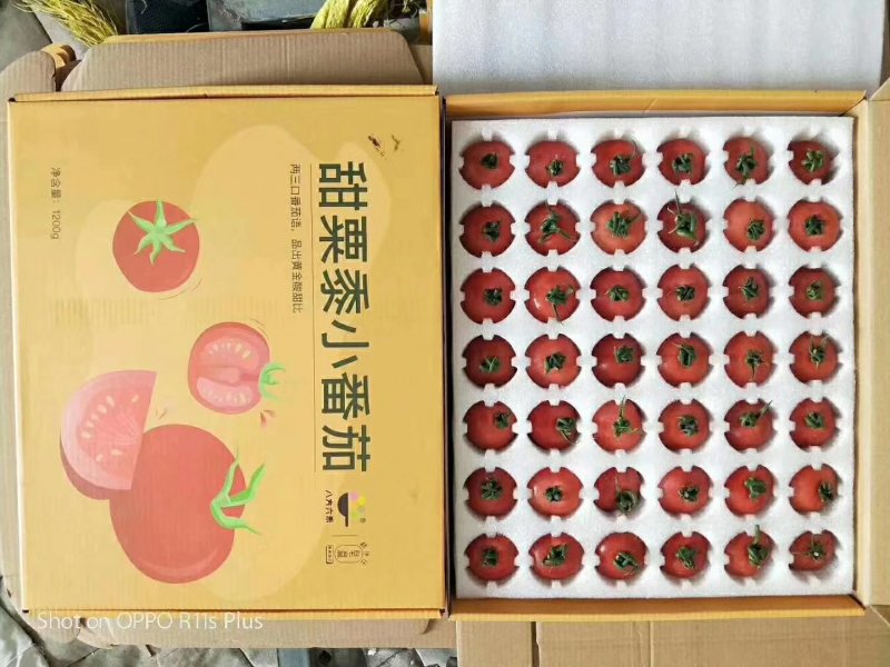 果品包装盒，水果包装盒。彩带。各种水果包装