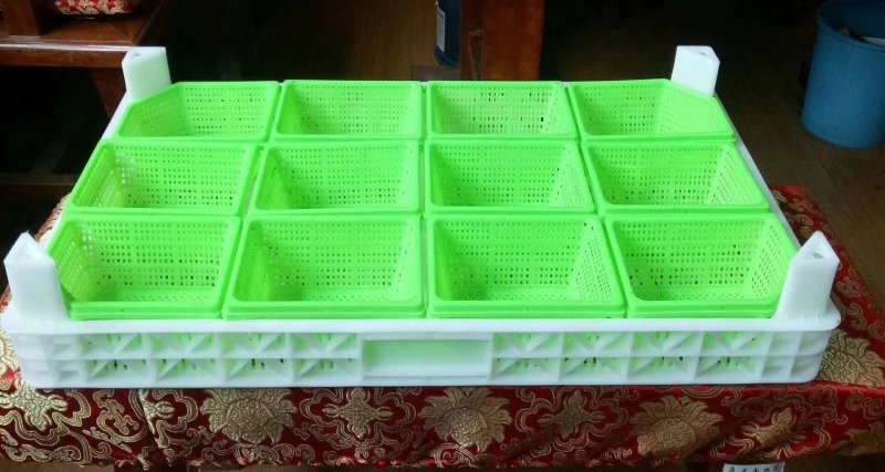 葡萄筐葡萄托盘塑料果盘，塑料水果盒等各种水果都有