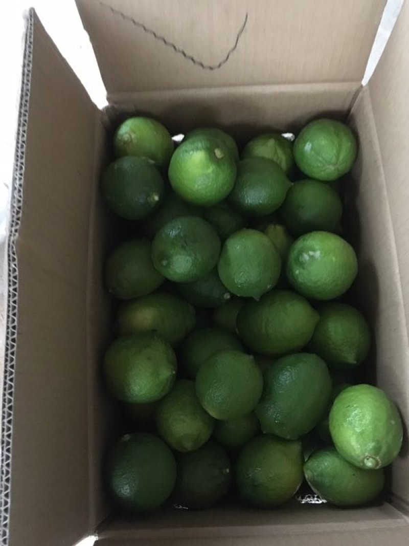 自产青柠檬200顿