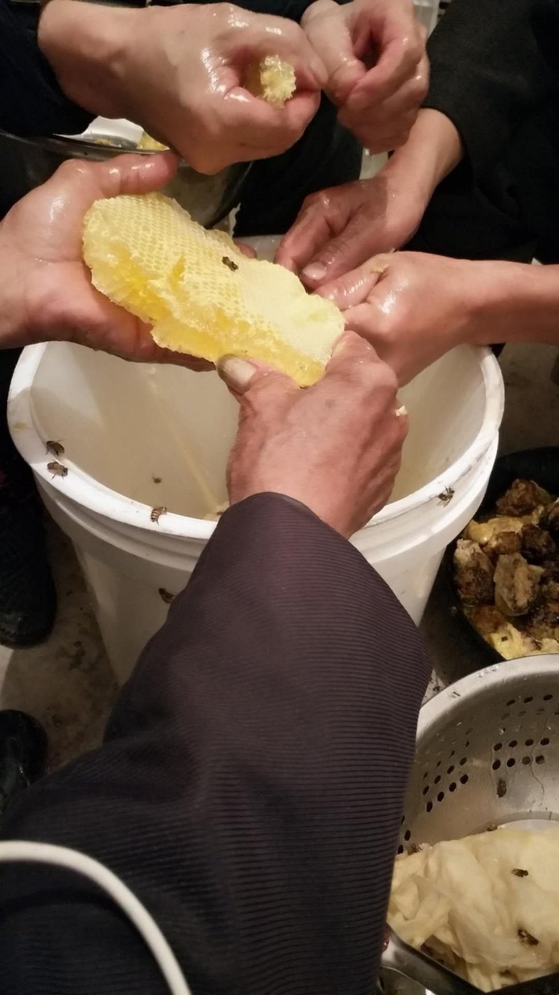 正宗农家土蜂蜜