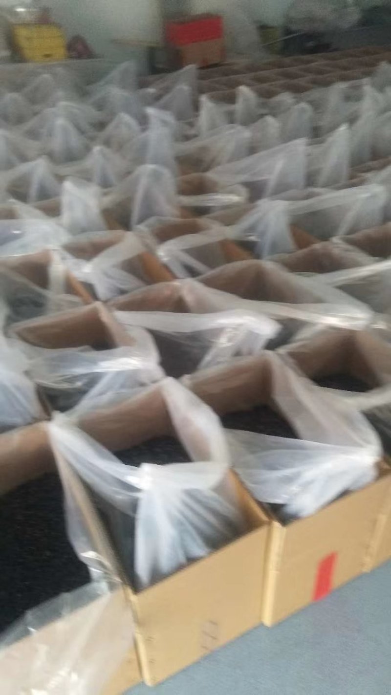 青海诺木洪黑枸杞包邮万亩高原基地自产自销，一手货源