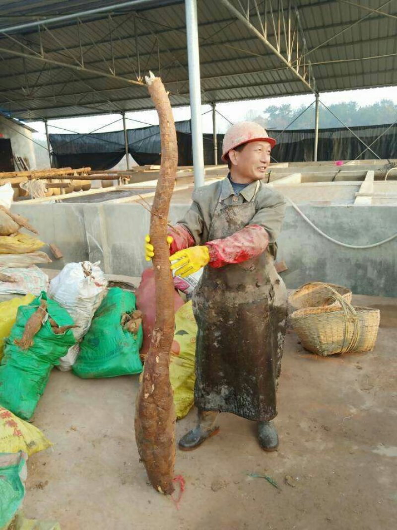 彡柋王葛根粉，自己用心呵护的品牌