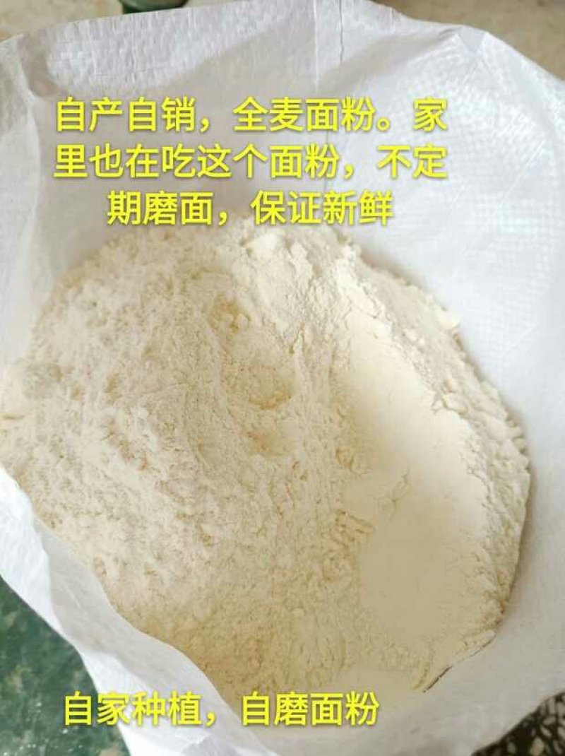 小麦面粉
