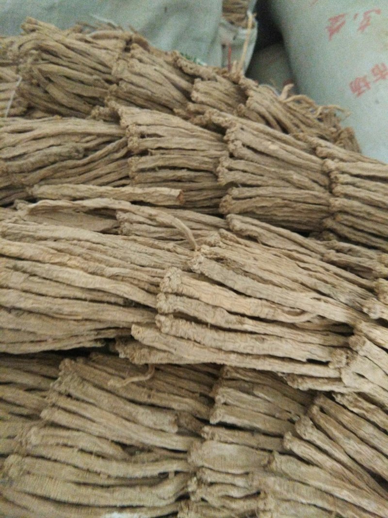纹党参