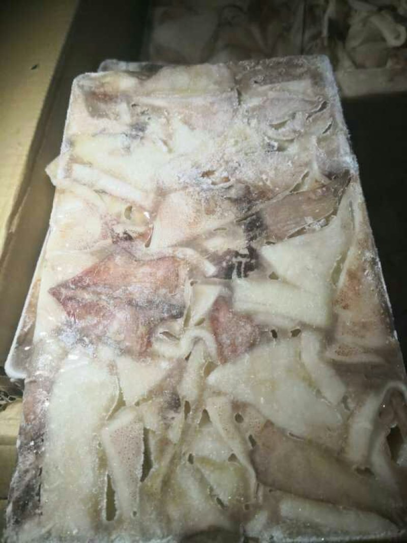 进口鱿鱼板