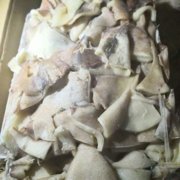 进口鱿鱼板