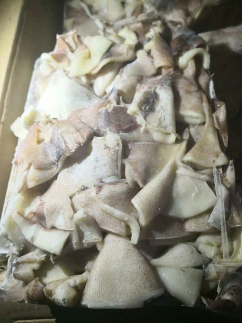 进口鱿鱼板