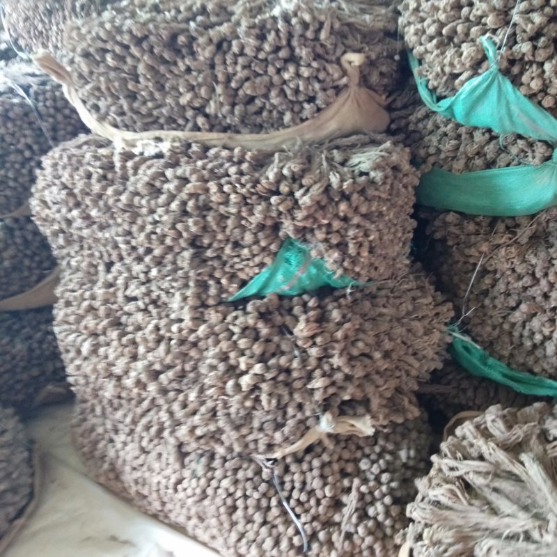 出售甘肃岷县当归质量颜色都是杠杠滴，好欢迎新老客户前来选