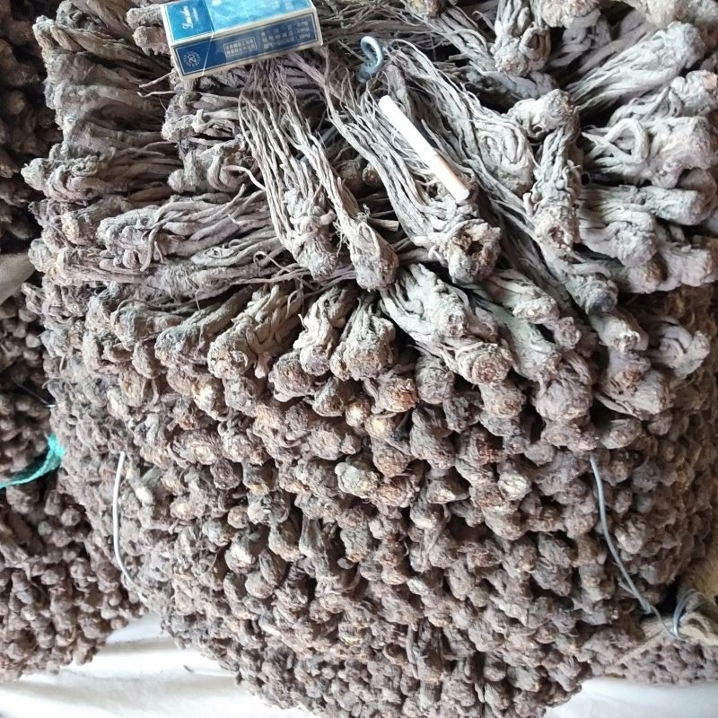 出售甘肃岷县当归质量颜色都是杠杠滴，好欢迎新老客户前来选
