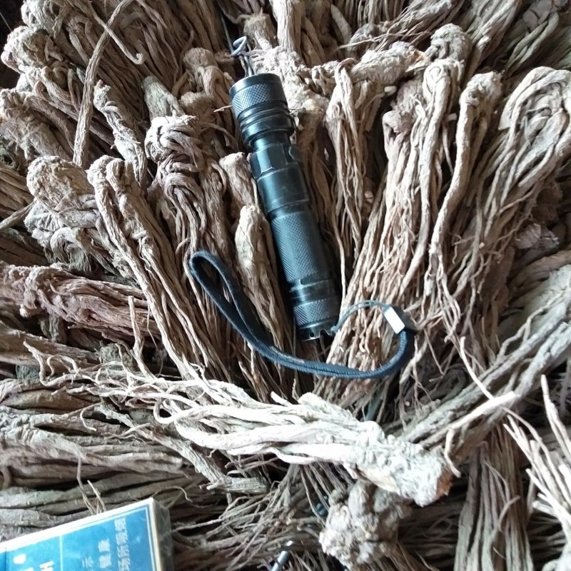 出售甘肃岷县当归质量颜色都是杠杠滴，好欢迎新老客户前来选