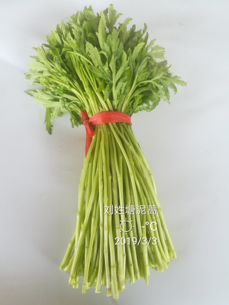 芦篙刘姓塘泥蒿藜蒿蒌蒿湖北特产基地直供包邮留言