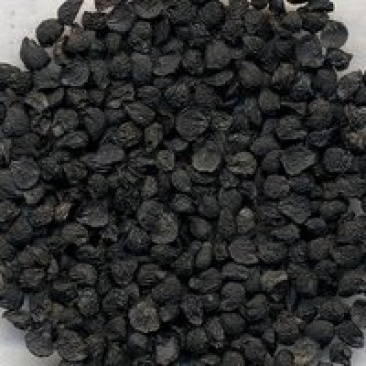 当年新育韭菜种子，籽粒饱满发芽率高，味道好