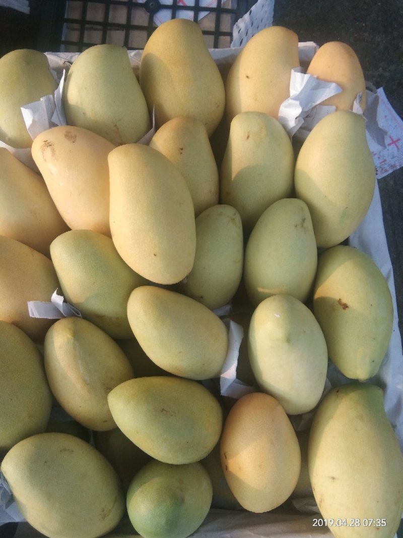 高乐蜜大量供应