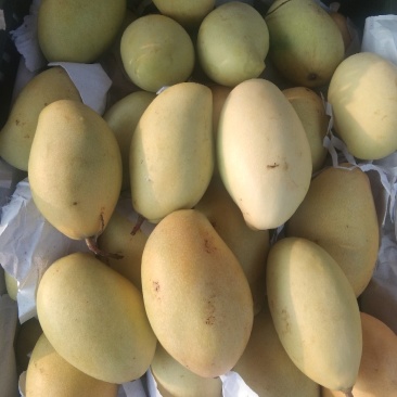 高乐蜜大量供应