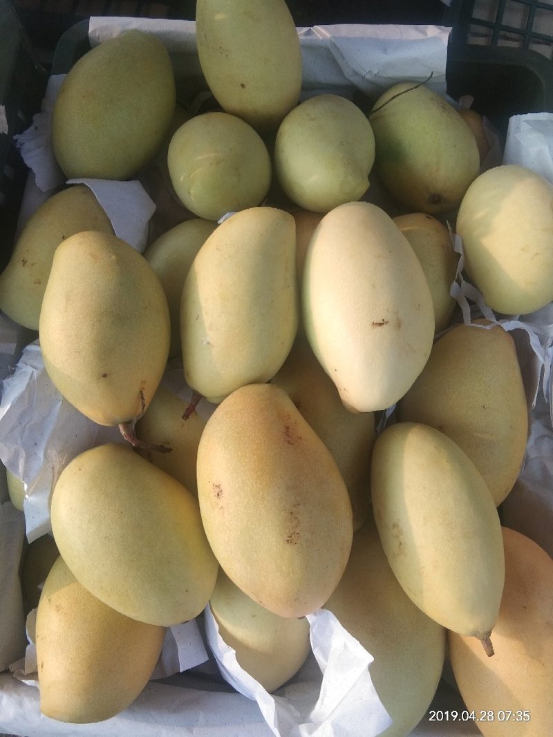 高乐蜜大量供应