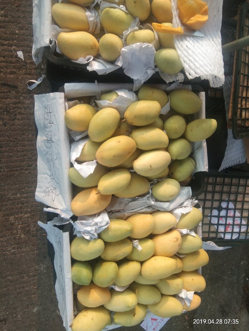 高乐蜜大量供应