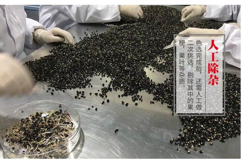 新疆特产黑枸杞一斤正宗大果特级免洗枸杞泡茶水食用煲汤