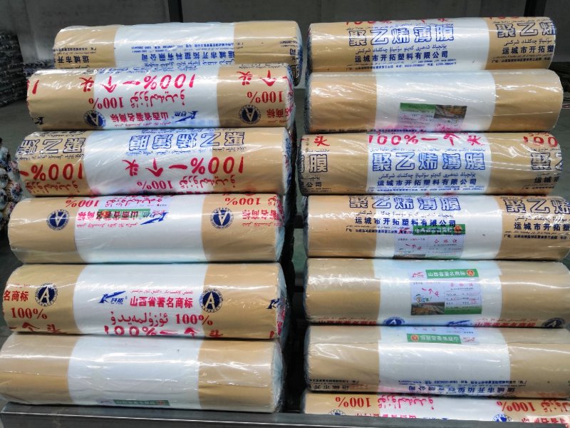 地膜，大栅膜