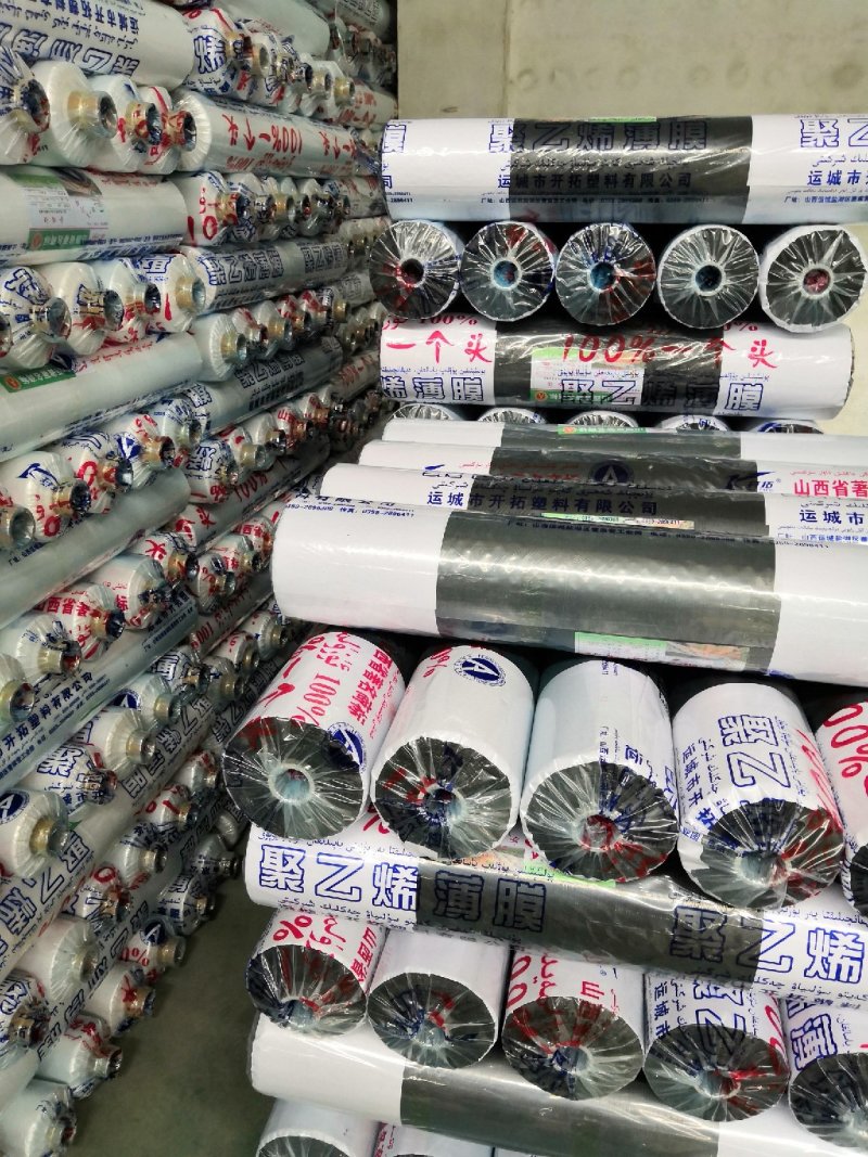 地膜，大栅膜