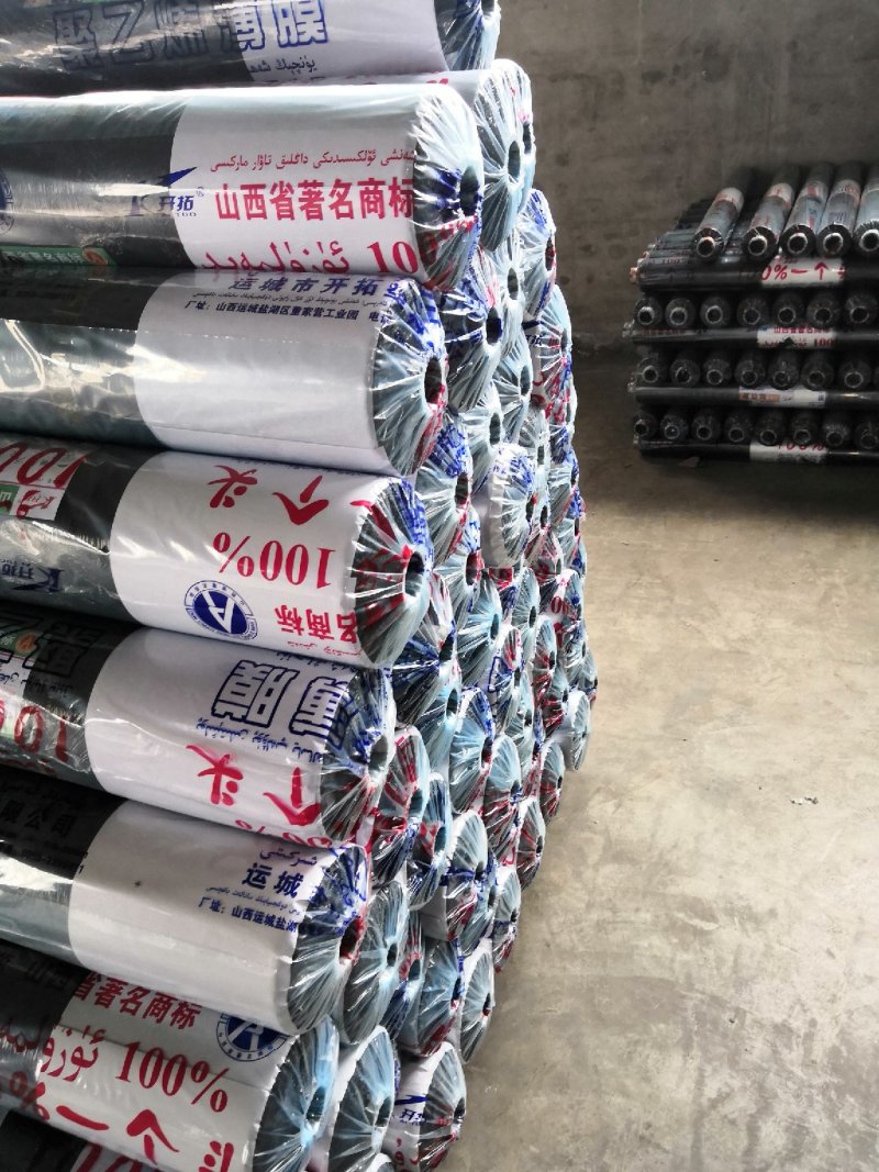 地膜，大栅膜