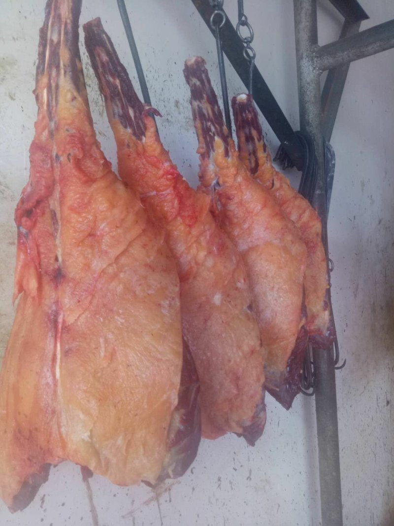 供应牦牛肉。