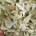 番泻叶小叶干净无杂便通秘茶量大从优一公斤起