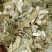 番泻叶小叶干净无杂便通秘茶量大从优一公斤起