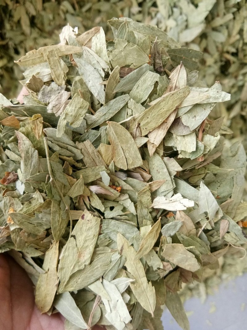 番泻叶小叶干净无杂便通秘茶量大从优一公斤起