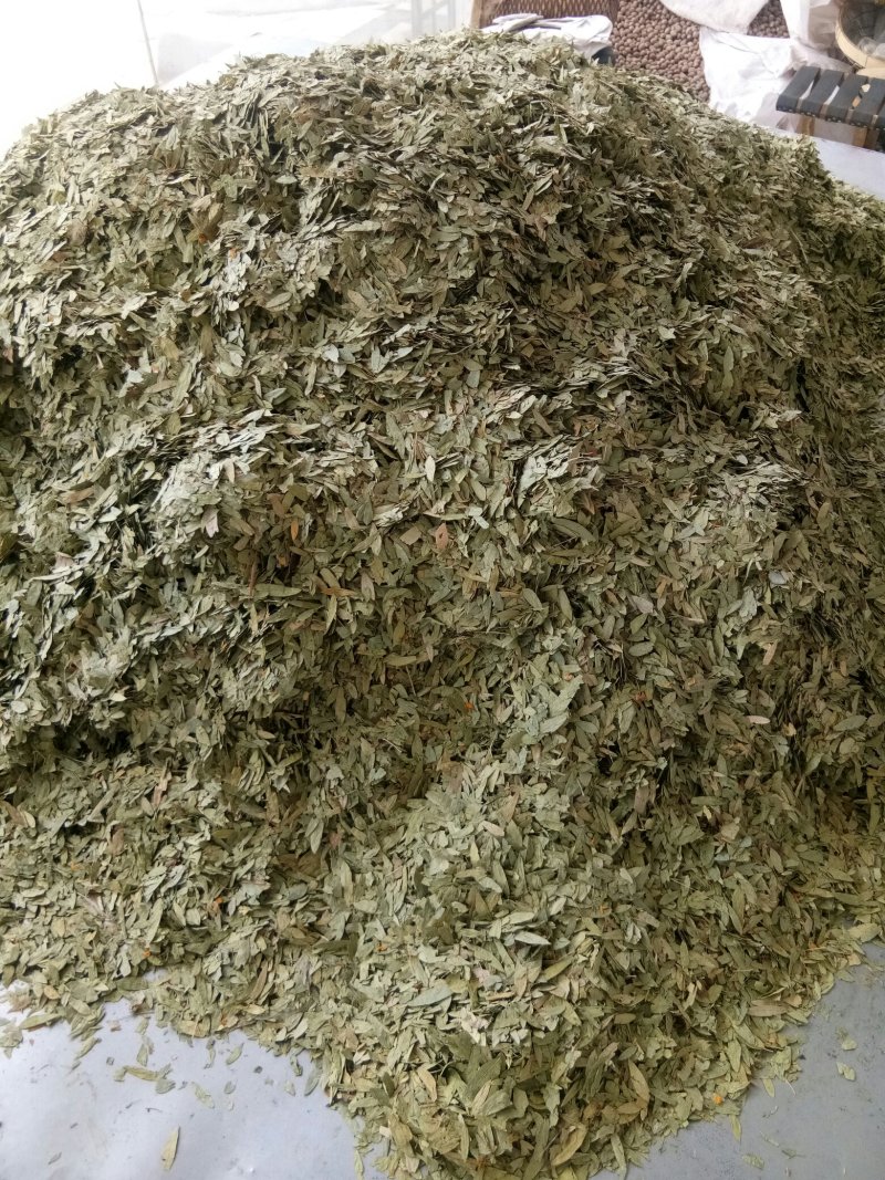 番泻叶小叶干净无杂便通秘茶量大从优一公斤起