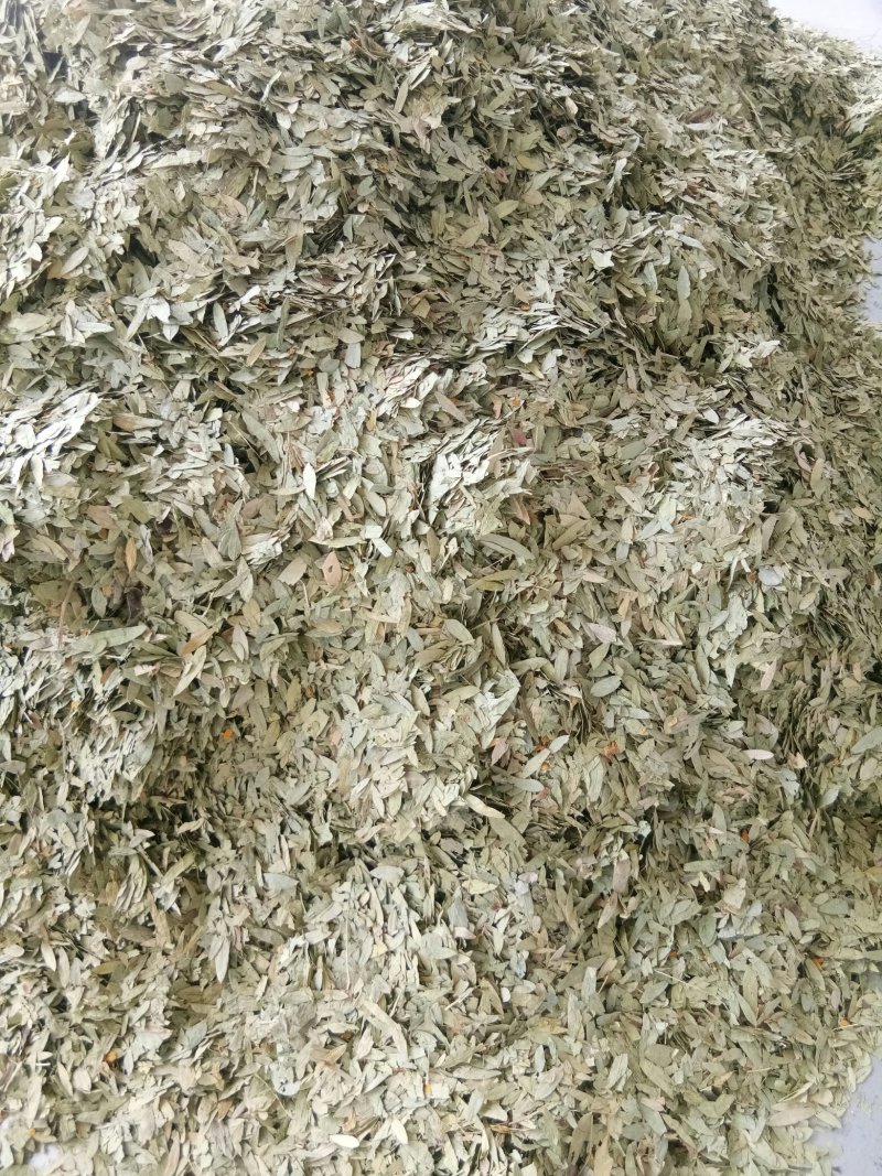 番泻叶小叶干净无杂便通秘茶量大从优一公斤起