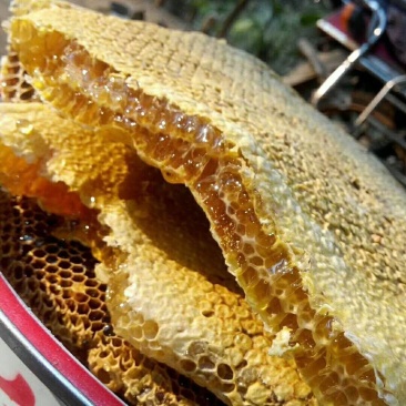 云南野生蜂蜜，营养价值是普通蜂蜜的几倍