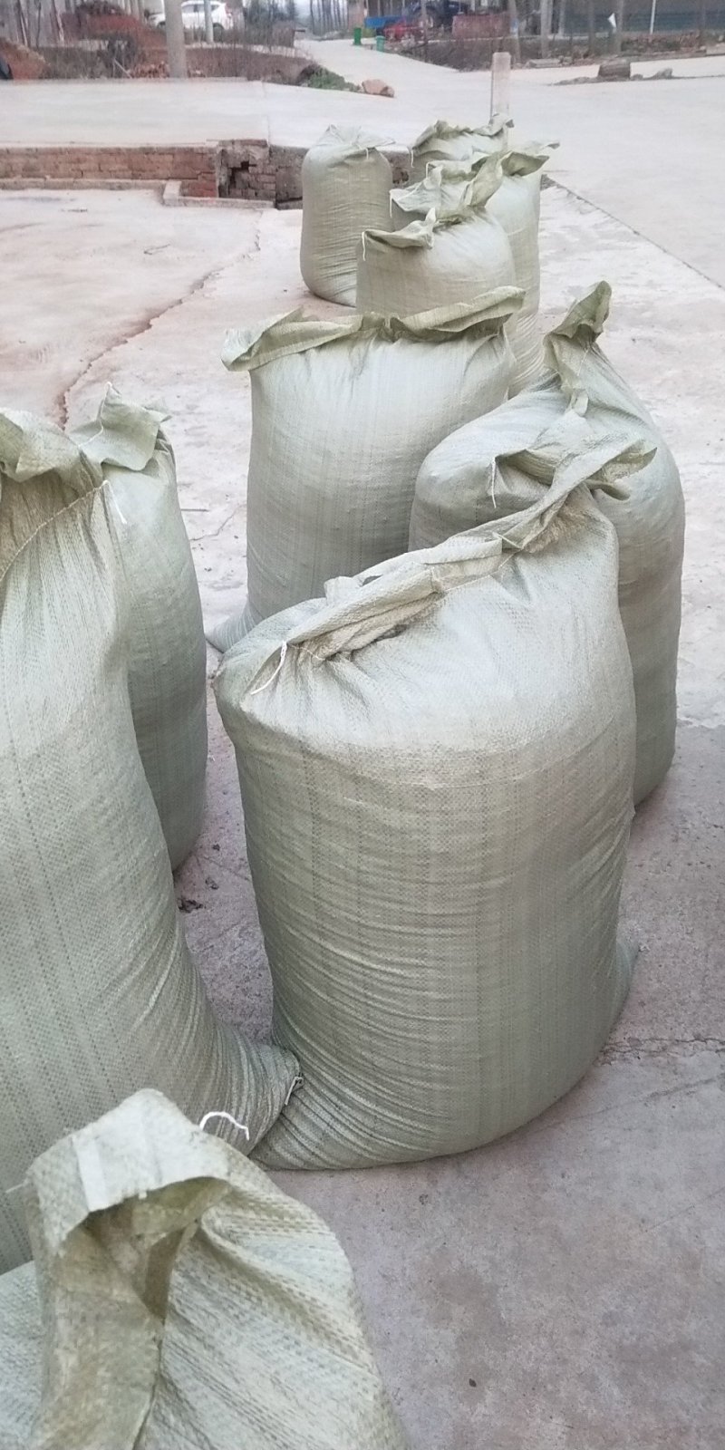 发酵花生壳