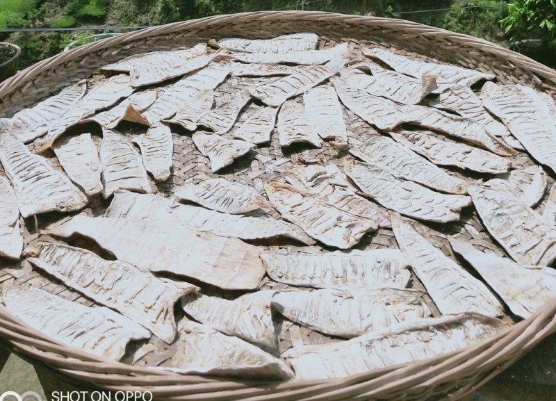 江南特产，嵊州毛笋干散包装，基地直供放心购买