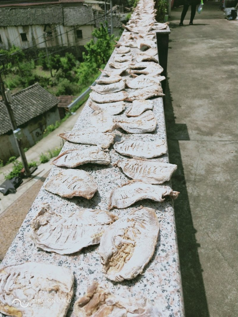 江南特产，嵊州毛笋干散包装，基地直供放心购买