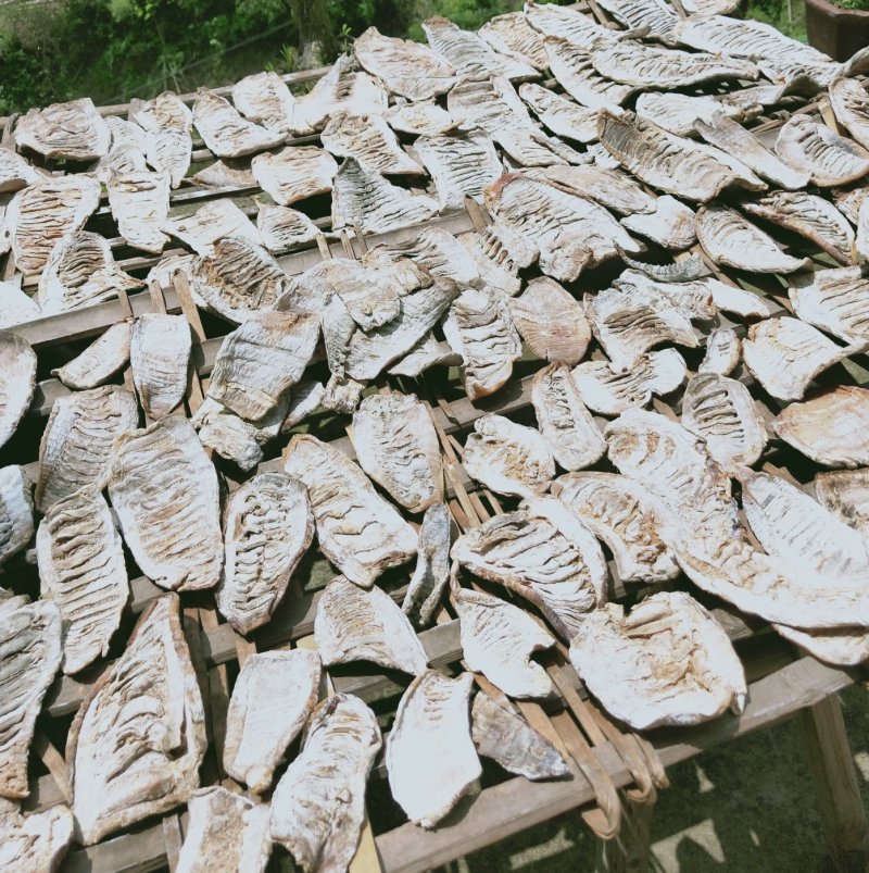 江南特产，嵊州毛笋干散包装，基地直供放心购买
