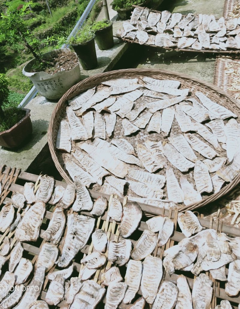 江南特产，嵊州毛笋干散包装，基地直供放心购买