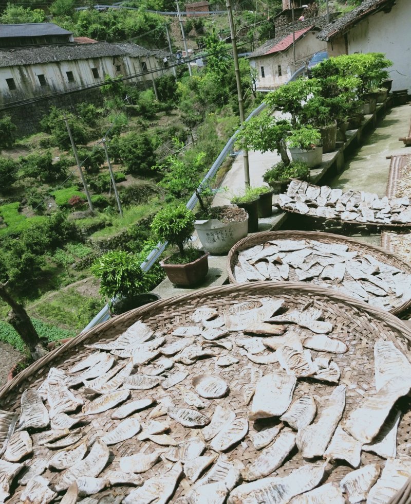 江南特产，嵊州毛笋干散包装，基地直供放心购买