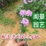 马缨丹高15到30厘米福建漳州绿化苗木基地花卉基地