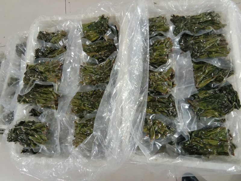 香椿芽