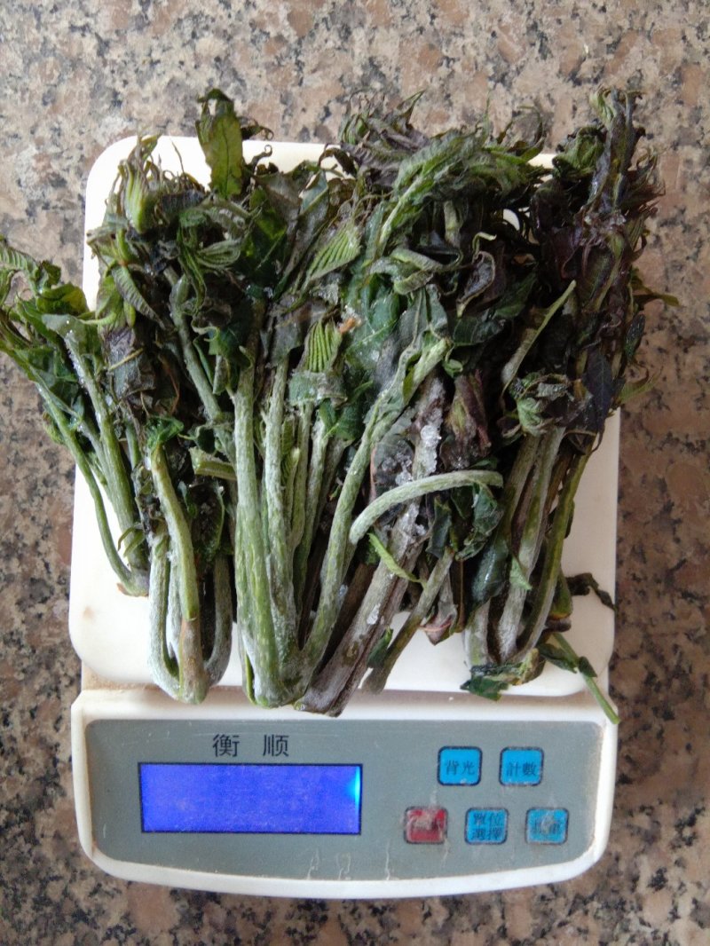 香椿芽