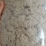 艾绒艾各种规格一公斤批发零售各种规格中药材