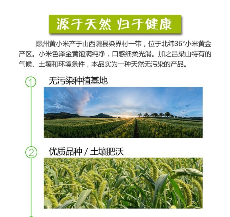 2022新谷子黄小米米月子米晋谷21号，杂粮