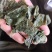 淫羊藿羊油炙淫羊藿新货批发各种规格中药材