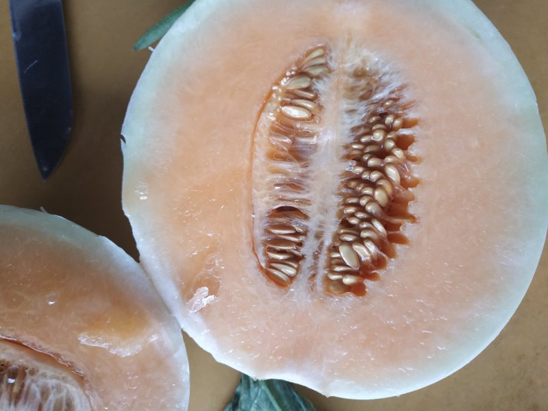 金红翠黄皮甜瓜白皮红肉