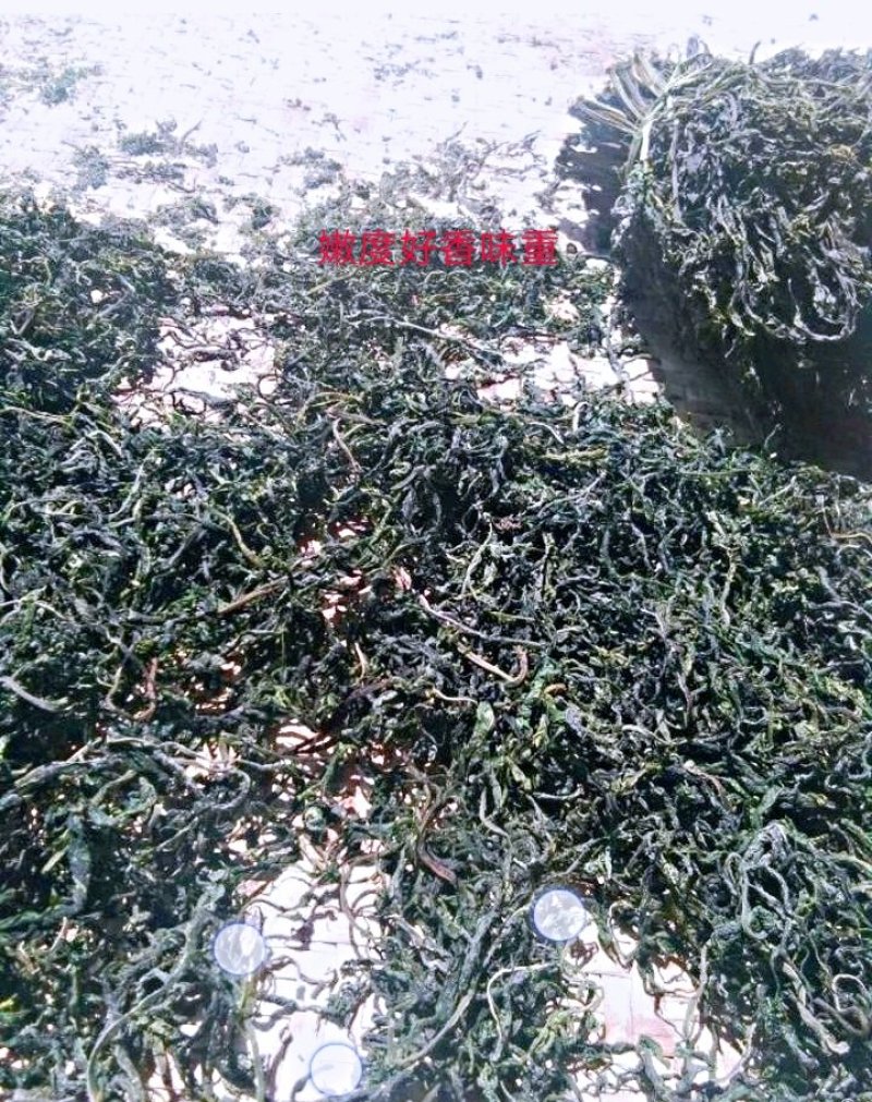 干香椿芽2020年新货产地直批