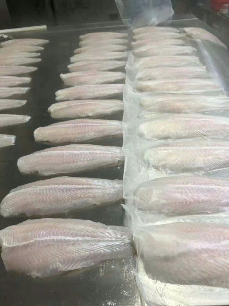 大量供应巴沙鱼柳，