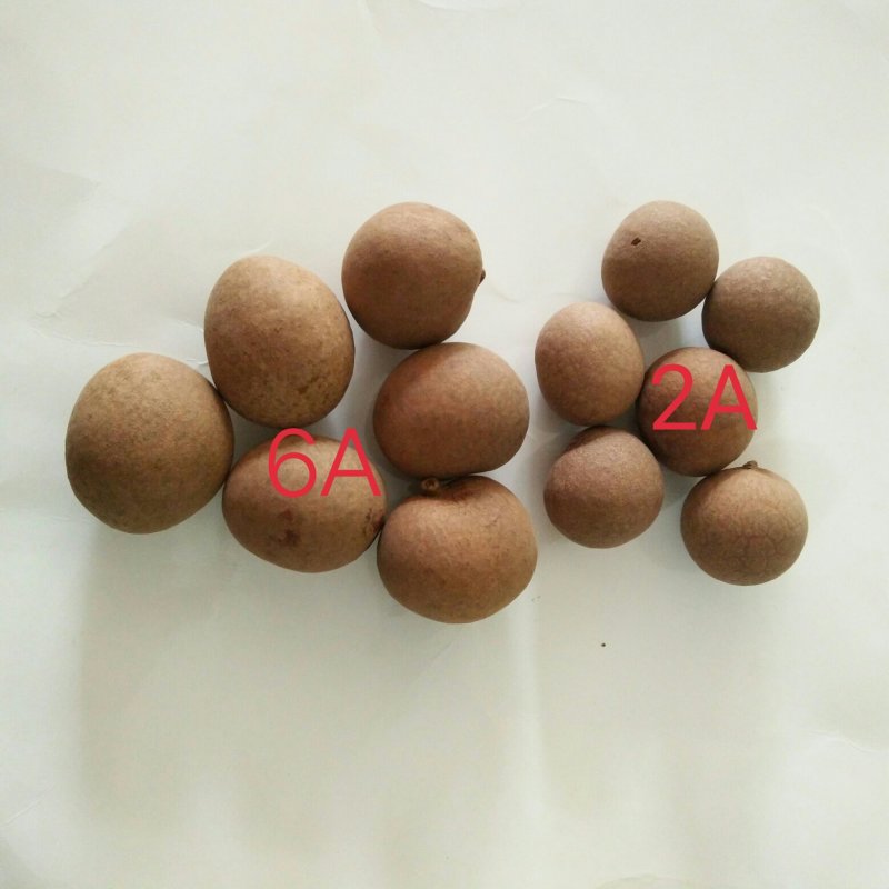 当季新货桂圆干龙眼干泡水泡茶特产肉厚整箱包邮